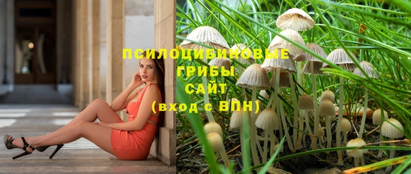 ешки Арсеньев