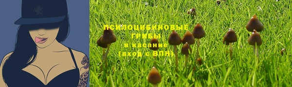 ешки Арсеньев